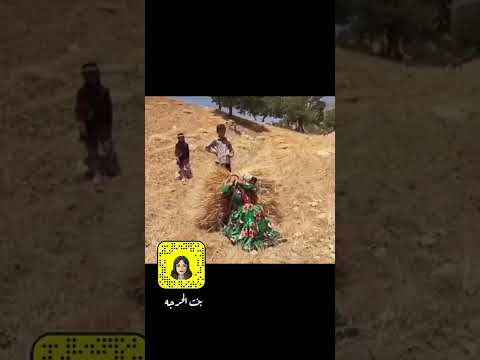 طريقة جمع الحصاد قديما بنت الحرجه السعوديه