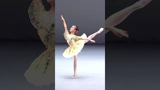 BEAUTIFUL performance!