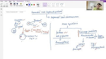 Somatic Cell Hybridization
