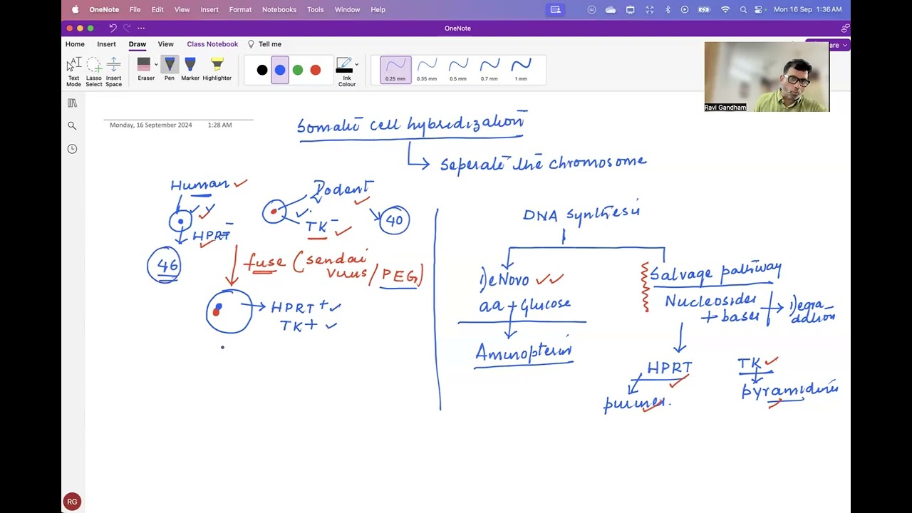 Somatic Cell Hybridization