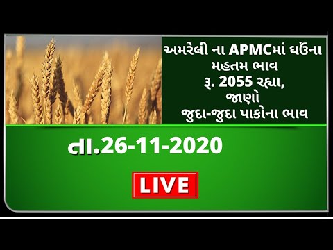 ગુજરાતની બધી જ APMCના તા.26-11-2020 દરેક પાકના ભાવ । TV9 NEWS