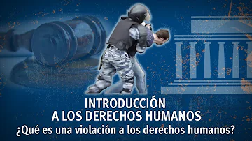 ¿Cuáles son cuatro ejemplos de violaciones de los derechos humanos?