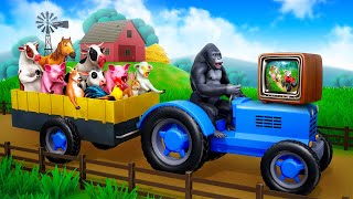Farm Animal Rescue Mission! | Animals Stuck in Truck | Gorilla Rescue | Animals Funny Cartoon 2024