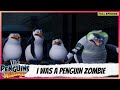 The Penguins Of Madagascar Full Episode I Was A Penguin Zombie