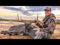 Mature buck from the ground bowhunting the golden triangle in south texas