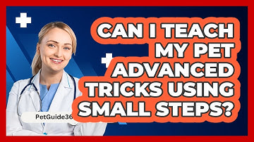Can I Teach My Pet Advanced Tricks Using Small Steps? - PetGuide360.com