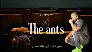 اسرار عن الحشرات و الضرر و بعض المعلومات في لعبة the ant underground kingdom
