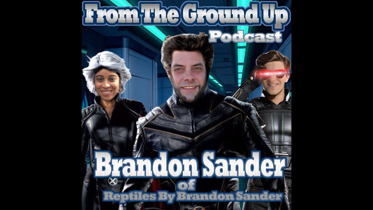 hangouts on air alternative BRANDON SANDER GREEN TREE AND JUNGLE CARPET BREEDING - FROM THE GROUND UP (REPTILE PODCAST)