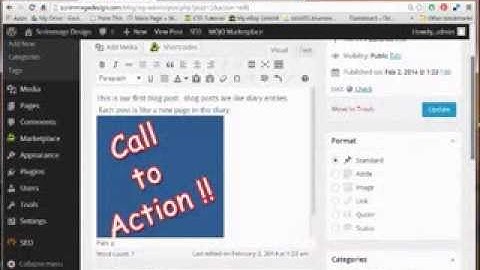 How to Create a Website Using Wordpress- Part 3 - Plug Ins, Pages & Posts