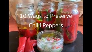 10 Ways To Preserve Chilli Peppers. Chilli Salt. Dried chillies. Roasted chillies. Chilly oil.