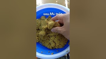 Mồi câu cá rô phi siêu nhạy, đơn giản #fishing #moicauca