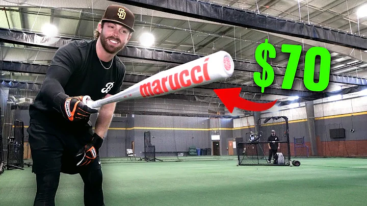 USSSA BUDGET BAT SHOWDOWN | Baseball Bat Bros