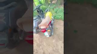 Pakistan Mein Electric Bikes Ka Inqilab! ⚡ Pak EV Workshop Visit