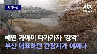 [자막뉴스] 일주일 만에 초토화됐다…부산 바닷가서 벌어진 충격적인 광경 / JTBC News