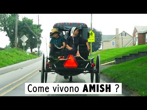 Video: Da dove vengono gli amish?