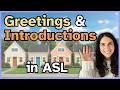How to Sign 20 BEGINNER Introduction Phrases! American Sign Language