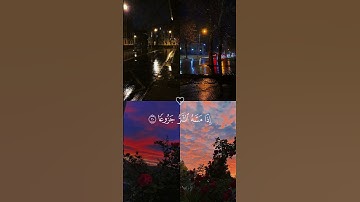 {إن الأنسان خلق هلوعا}🍃🍂 حالات واتس اب قرآن کریم القارئ ادريس ابكر {سورة المعارج}