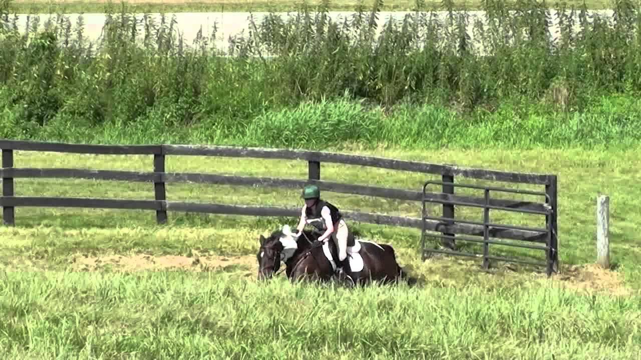 Madlen Fields & Stonehaven's Puzzled Millbrook Horse Trials August 2013 YouTube