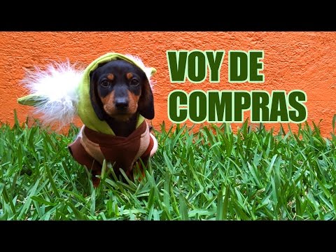 Video: Día Nacional de las Mascotas 2012 - ¡Adopte, no compre!