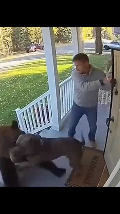 Pitbull saves the man💀