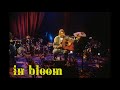 Nirvana  in bloom mtv unplugged