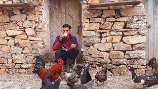 العيش في القرى الجبلية فيديو يمزج بين مرارة وحلاوة الريف الجزائري