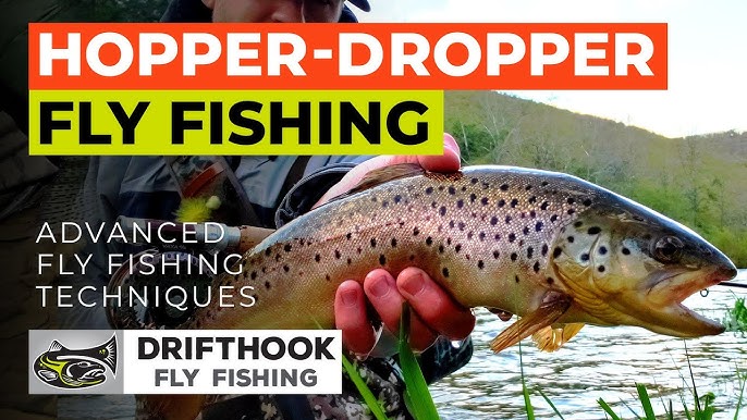 Dry Fly Fishing for Trout - Setup and Techniques 