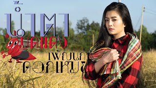 น้ำตามดแดง - ดอกเหมย เพ็ญนภา สมสุข 【 Cover Version 】