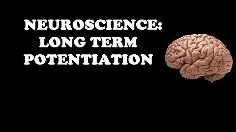 Long-Term Potentiation || Neuroscience