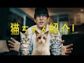 猫ちゃん紹介動画!