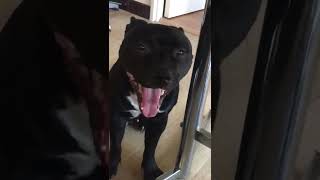 Lheure De La Gamelle