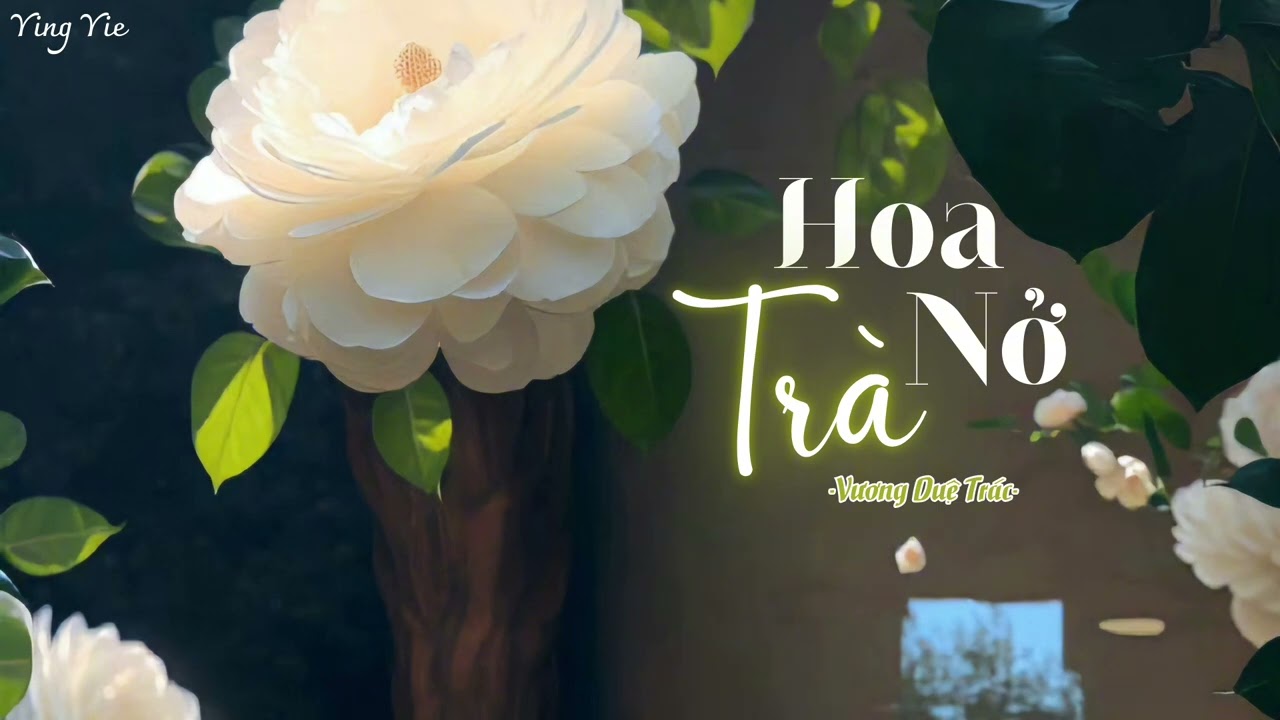 [Vietsub] Hoa Trà Nở Rồi - Vương Duệ Trác / 茶花开了 - 王睿卓