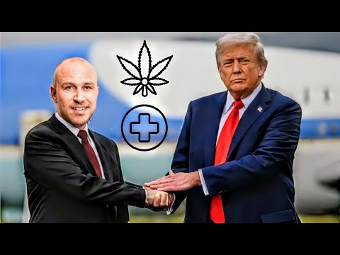 Amerika geeft ouderen cannabis voor gezondheid – bespaard miljarden aan zorg!
