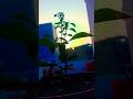 nature pics🏞️🌺🌲🌳🌵#shortvideo #naturelovers #subscribe