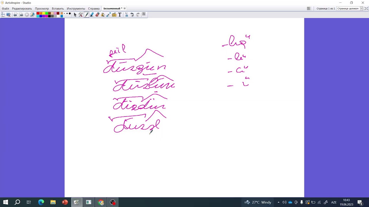 NL Academy Canlı Axın