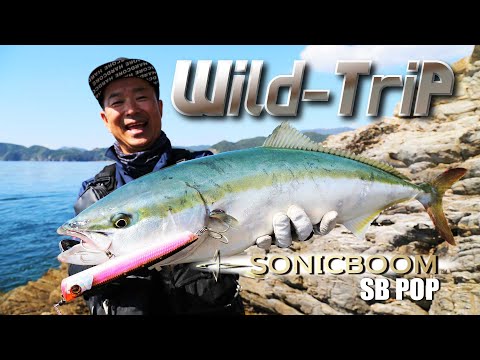 宮崎・延岡の沖磯で青物ゲーム！ Wild Trip/鉄人・松岡豪之(1409)