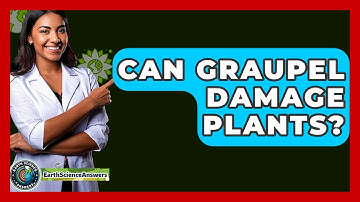 Can Graupel Damage Plants? - Earth Science Answers