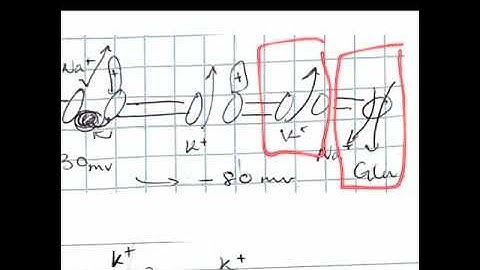 302 14 22 Homework and Feedback