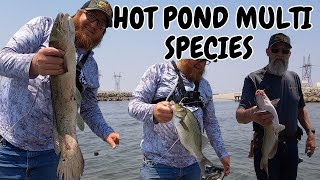 Fishing The Bay City Hot Ponds In June!!! Multi-Species