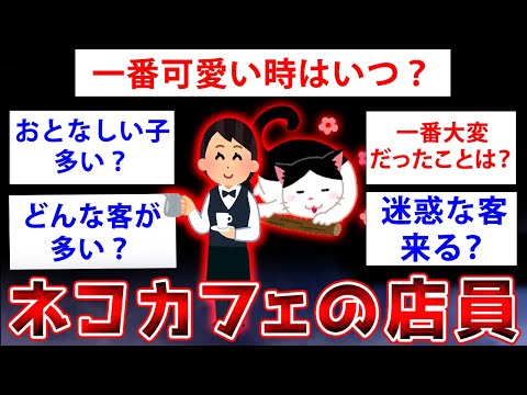 【2ch面白いスレ】猫カフェの店員だけど質問ある？【ゆっくり解説】
