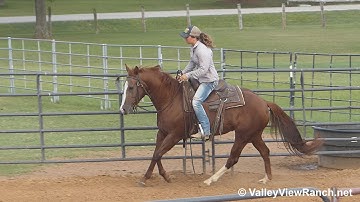 Sucker For A Redhead - jog, lope, stops! - ValleyViewRanch.net