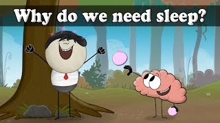 Why do we sleep? | It's AumSum Time Why do we sleep? | It's AumSum Time