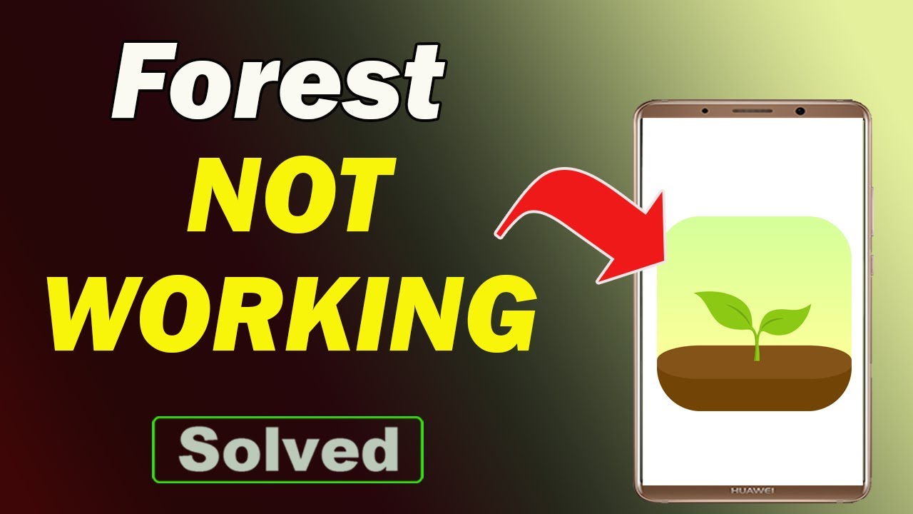 Fix Forest App Not Working and Not Open Problem in Android Phone - YouTube