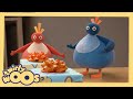 Sarma | Twirlywoos | Türk Çocuk Çizgi Filmleri | WildBrain Türkçe