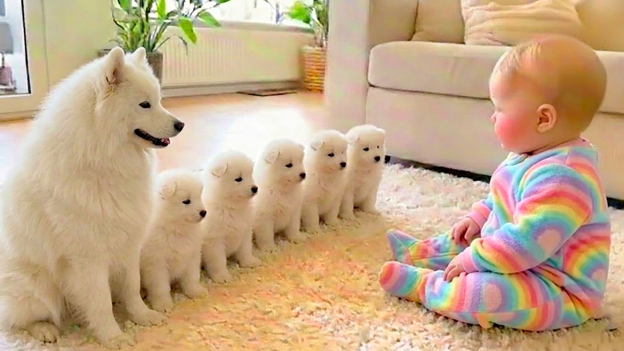 Baby and Puppy Best Friendship Forever: Funny Cute Babies Videos || Pure Giggles❤️