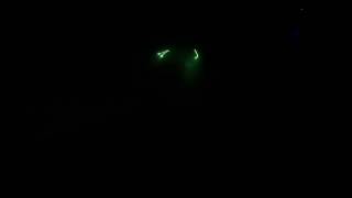ILLUSION Yeşil Animasyon Lazer