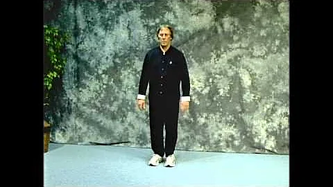 Yang Style Tai Chi Long Form - Gilman's Modificati...