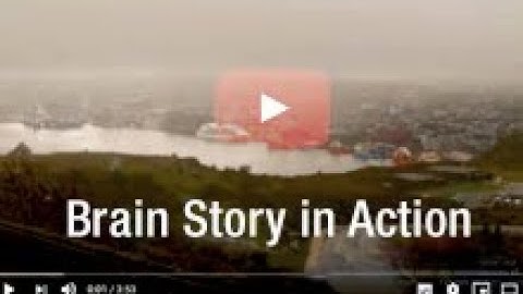 Brain Story in Action: Addressing Stigma