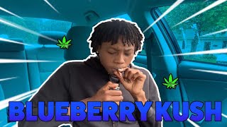 Smoking sesh THE FIRST TIME SOMEONE CHALLENGED ME TO A💨OUT🍃 #hotbox30
