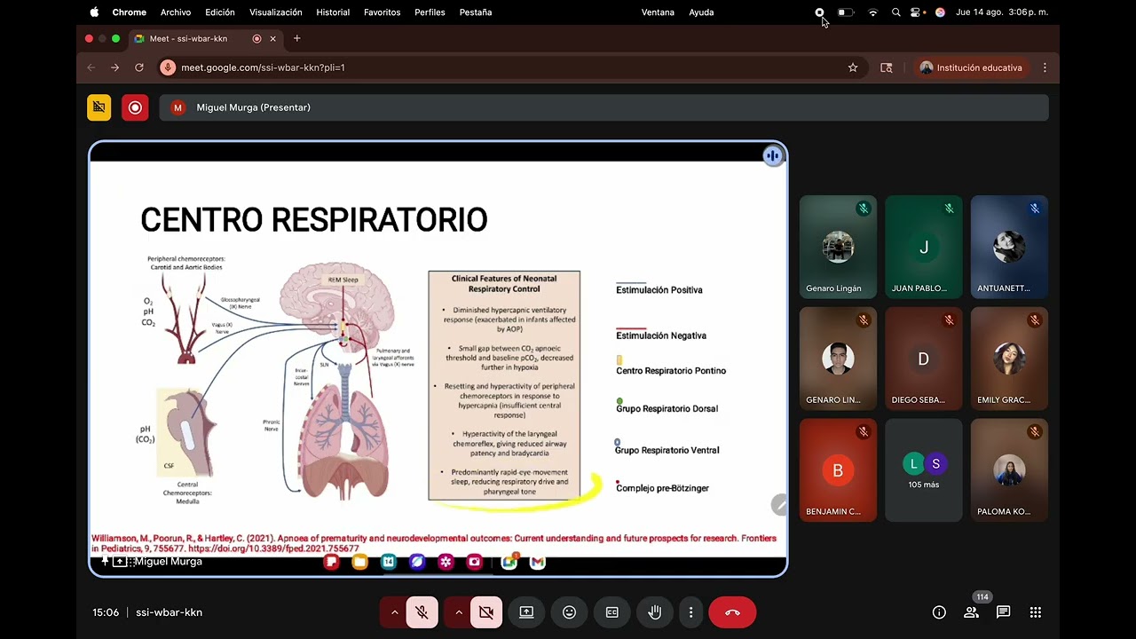 PEDIATRÍA CLASE 11: Apnea Neonatal.
